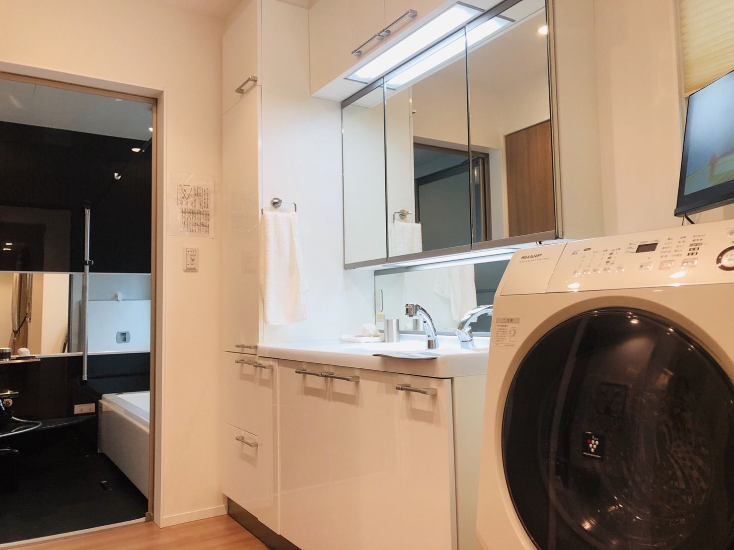 豊橋南展示場_洗面