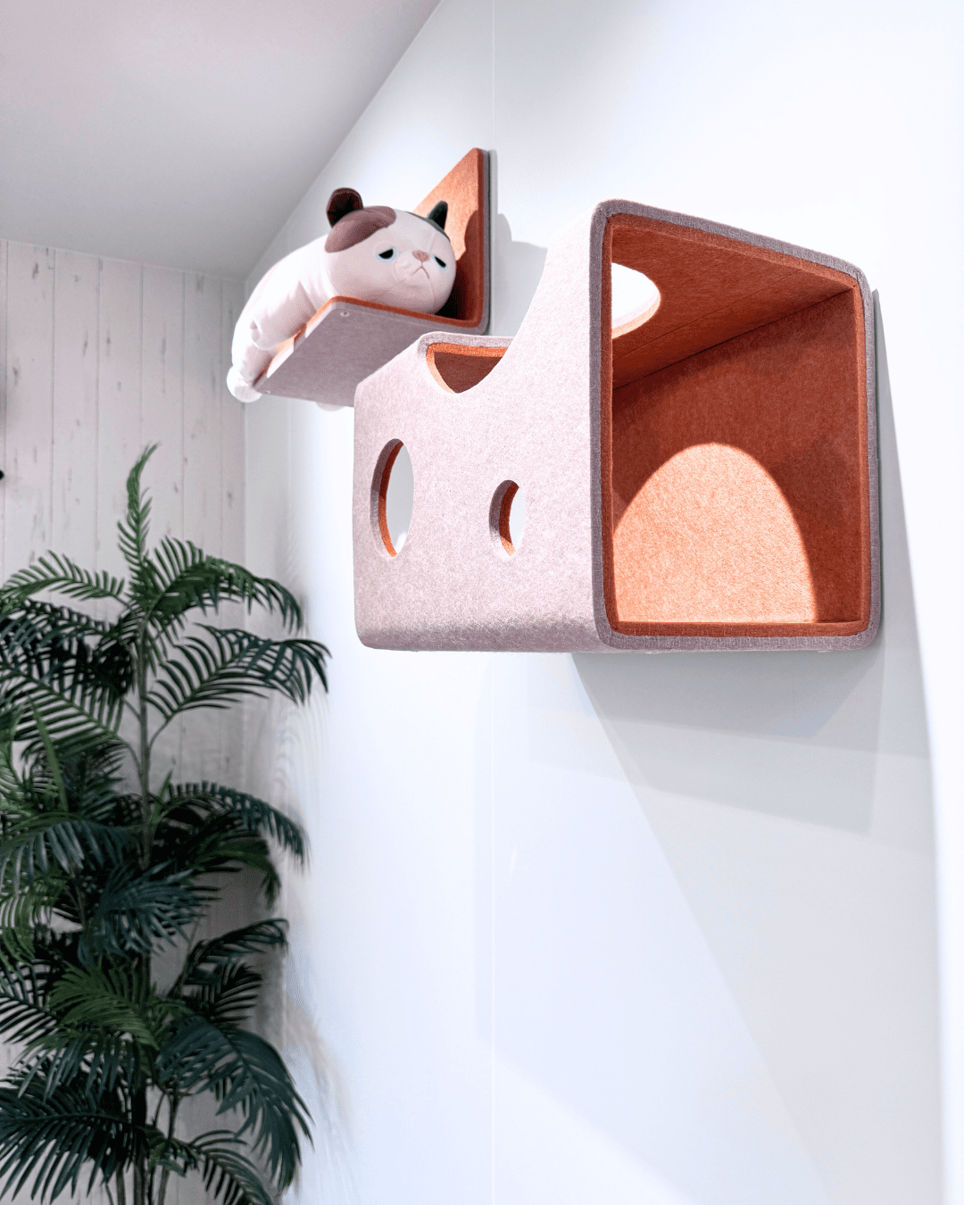 秋田市泉中央モデルハウス_キャットタワー