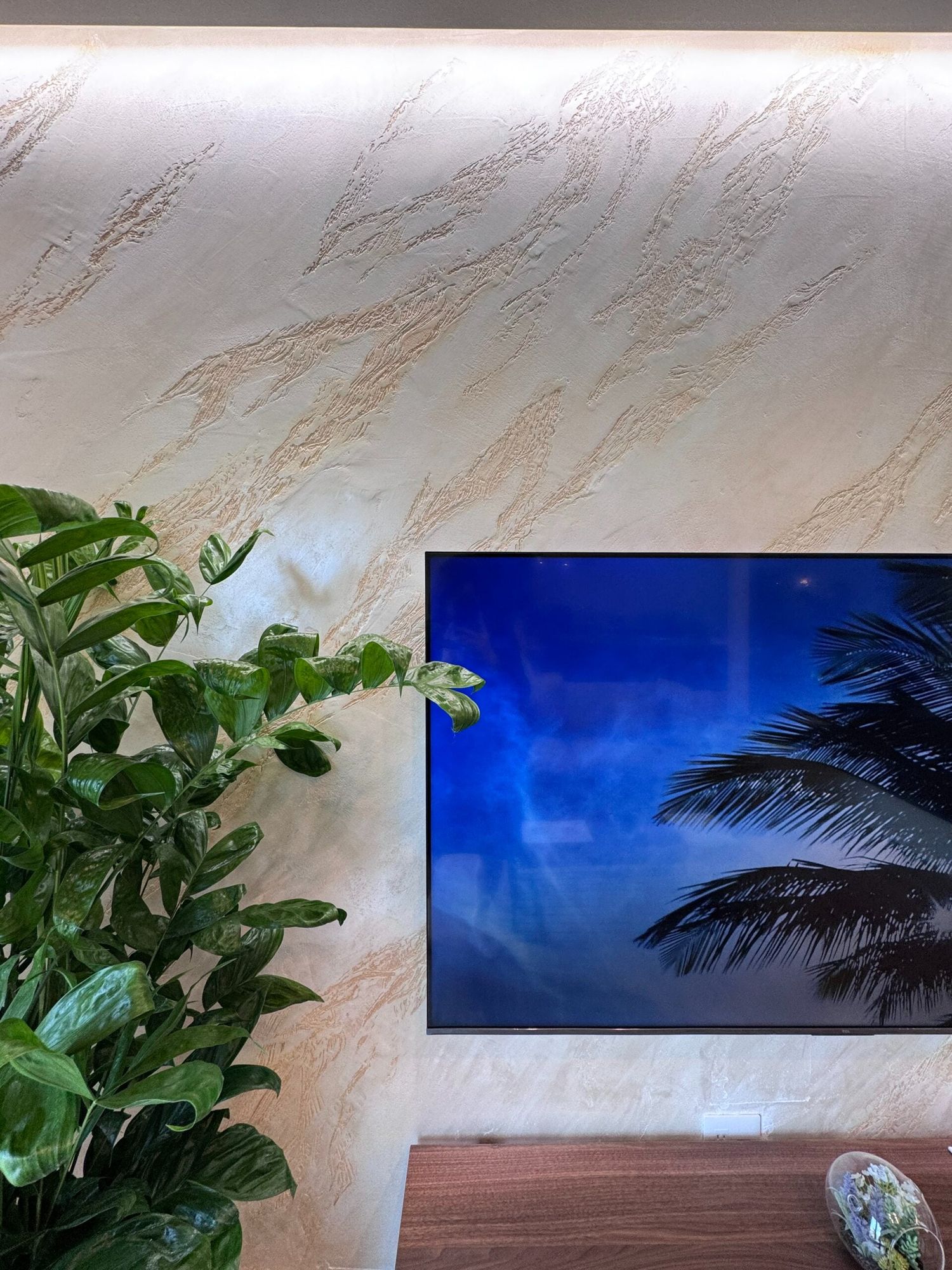 秋田市泉中央モデルハウス_TV