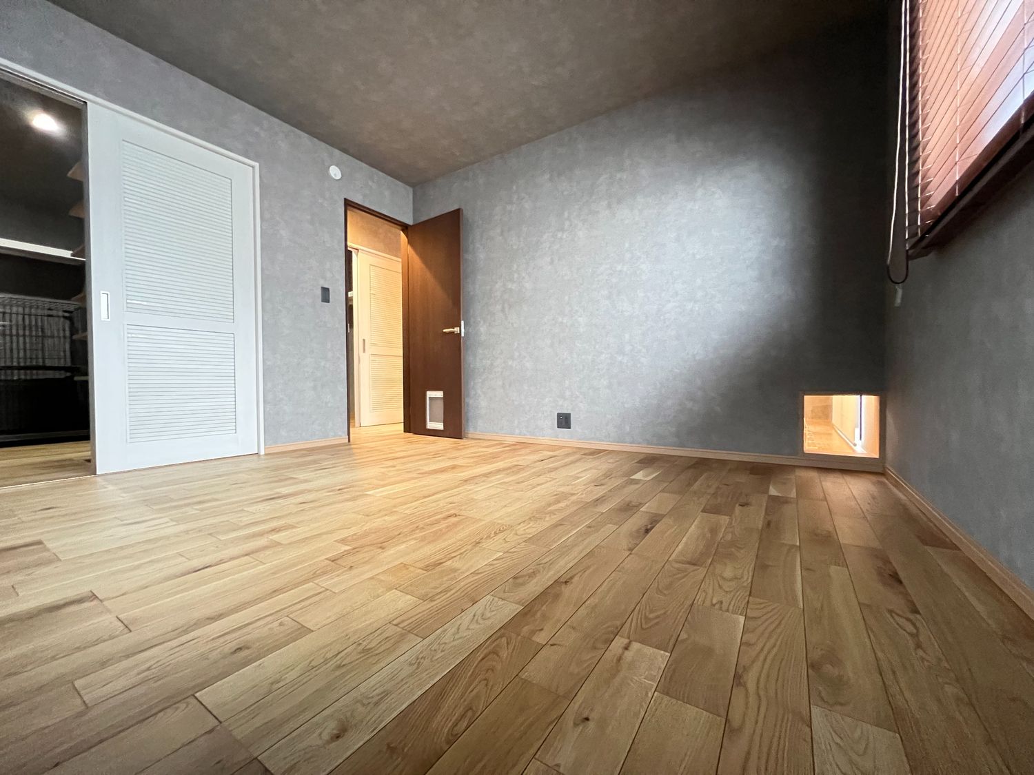 猫と暮らす家_洋室