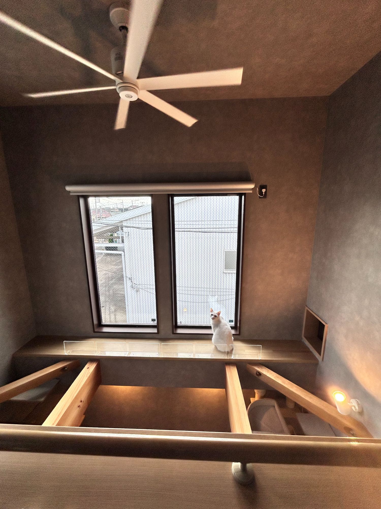 猫と暮らす家_吹き抜け