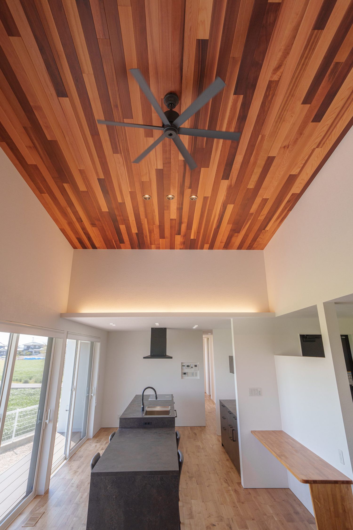 豊かな田園地帯に建つ平屋_天井