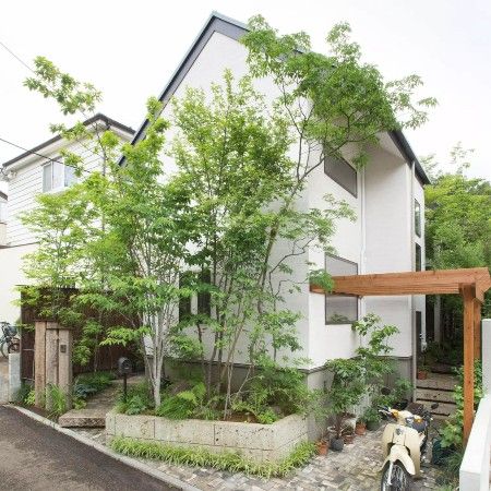 静かな森を感じる家