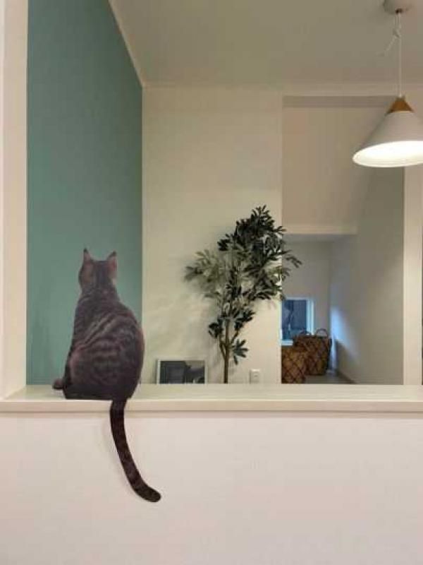 『猫とハッピーに暮らす』三角屋根のおうち_3の画像