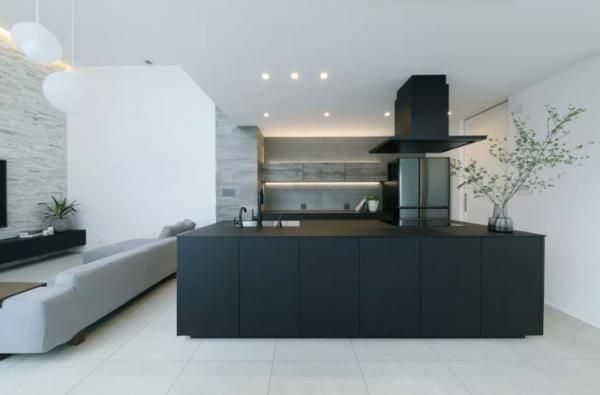 The Concept House