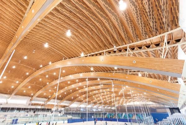 大規模木造建築の先進国の画像