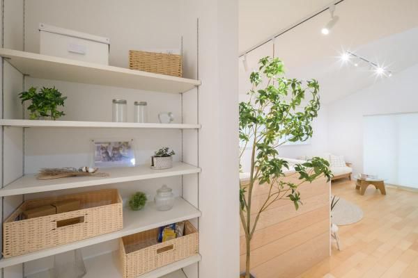 平屋_収納の画像