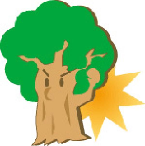 木は災害に強いの画像