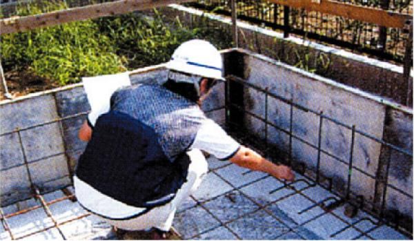 保険法人の現場検査の画像