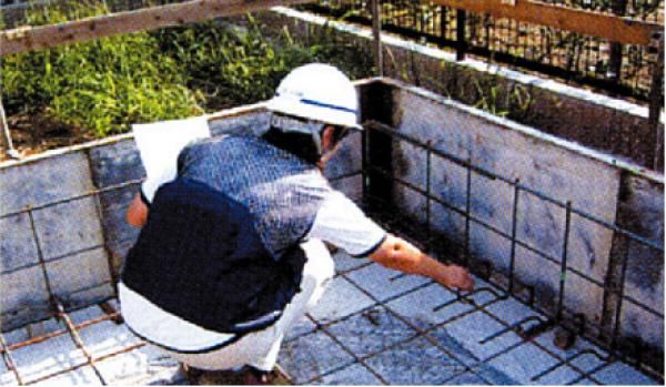 保険法人の現場検査の画像