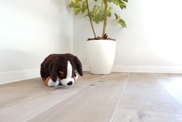 傷に強い床の画像