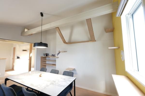 にゃん壁の画像