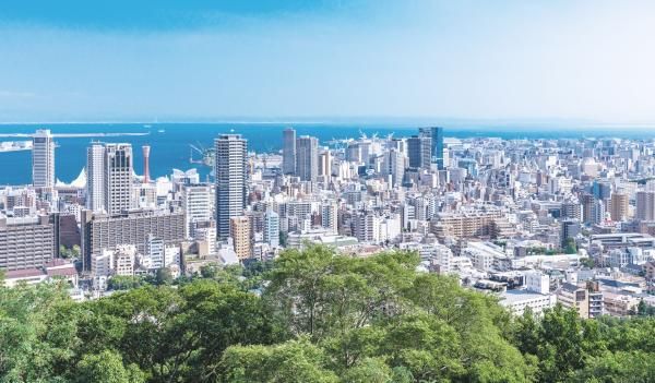 家のためにならないことはしてはいけないの画像