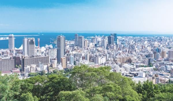 家のためにならないことはしてはいけないの画像