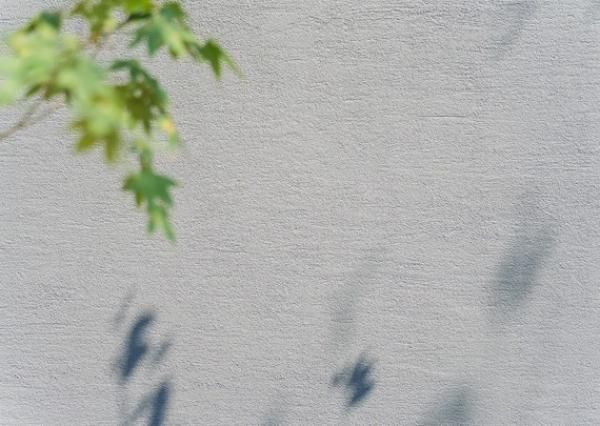 超撥水性の塗り壁仕上げで、美しさを長く保つ外観の画像