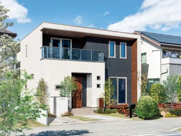 ウイルスファイターMAXの画像