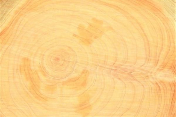 劣化対策(劣化対策等級3)の画像