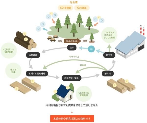 木造でつくる第二の森の画像