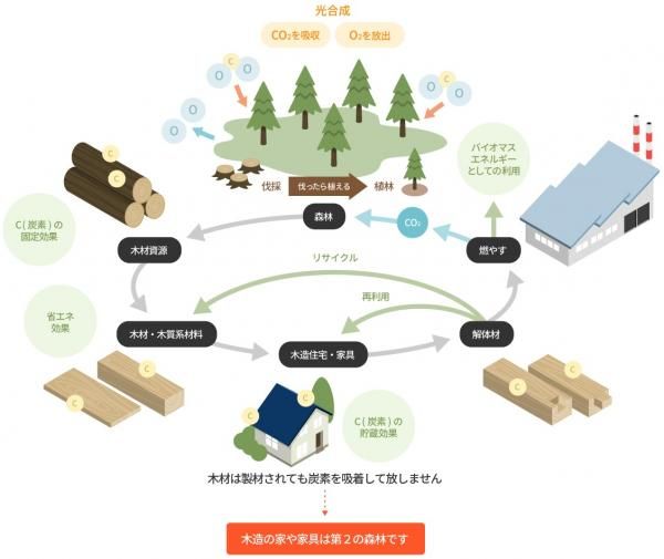 木造でつくる第二の森の画像