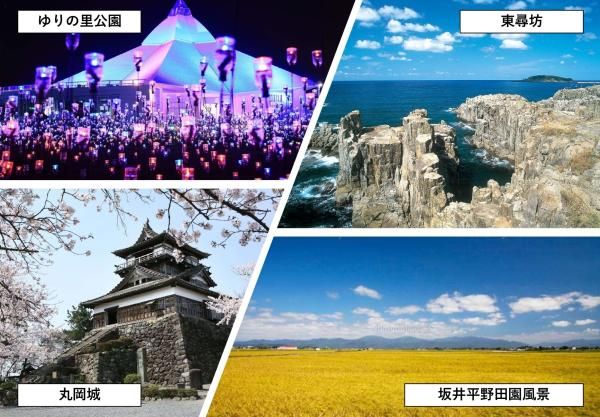 坂井市の画像