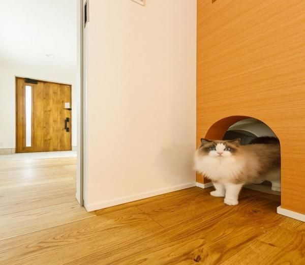 キャットドアを造作し、猫が自由に行き来できるの画像