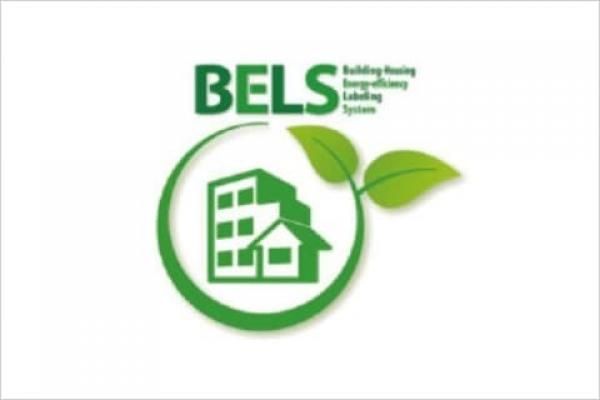 BELSの画像