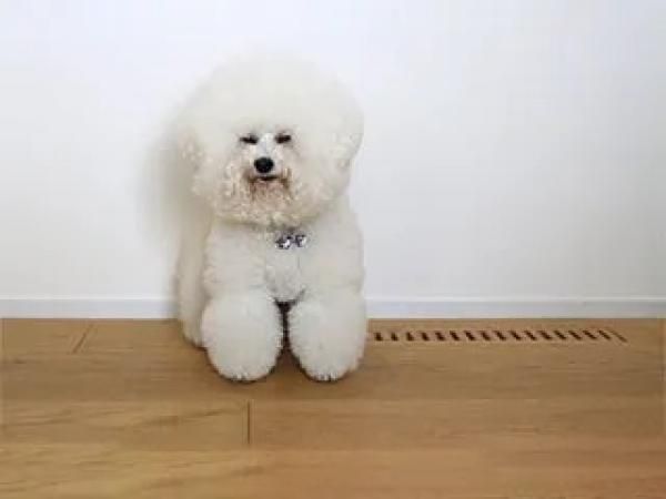 住環境へのこだわりの画像