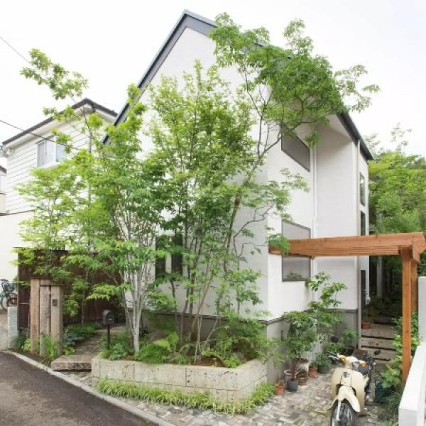 静かな森を感じる家